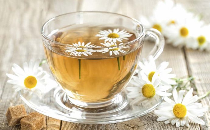 Чай - полезные свойства, польза и вред для организма