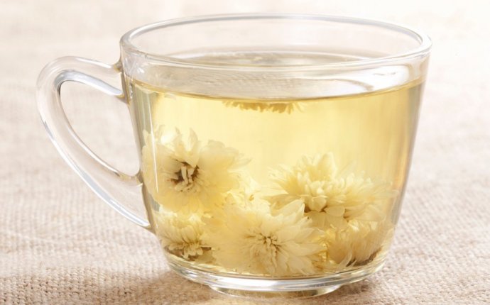 Как заваривать зеленый чай с хризантемой