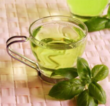 белый чай полезные свойства