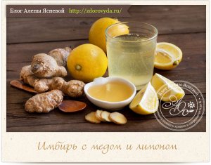 Мед с имбирем и лимоном