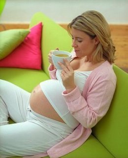 Можно ли пить зеленый чай во время беременности