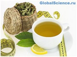 Ученые: Зеленый чай ускоряет метаболизм и помогает похудеть