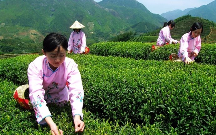 Чай в Китае