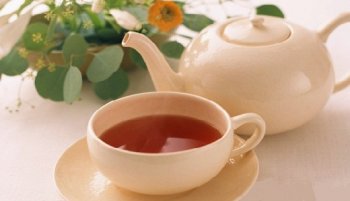 Все о чае, польза и вред чая, как покупать и хранить чай
